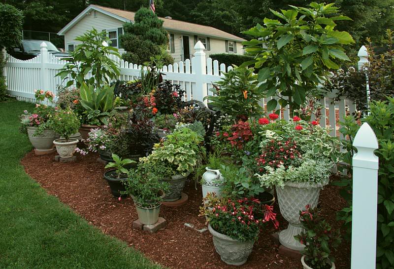 Container Gardening For The Renter | AHRN.com