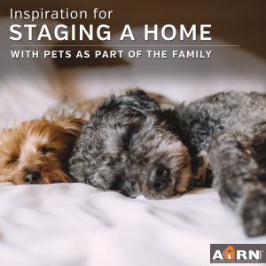 How to stage a home for sale or rent with pets on AHRN.com